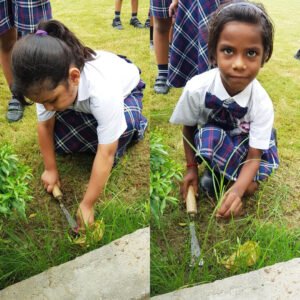 Innovative Teaching Methods